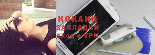 индика Медногорск