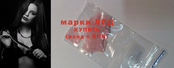 индика Медногорск