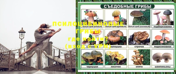 винт Майский