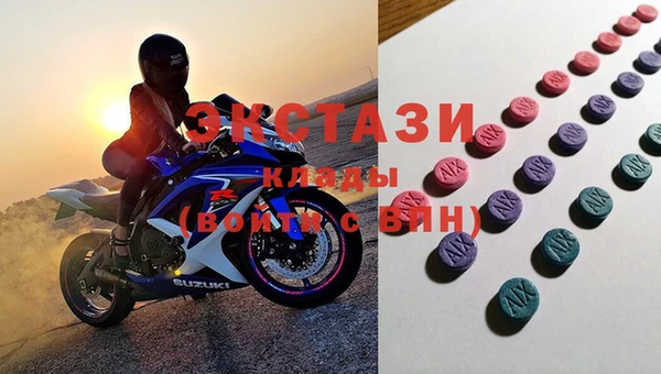 индика Медногорск