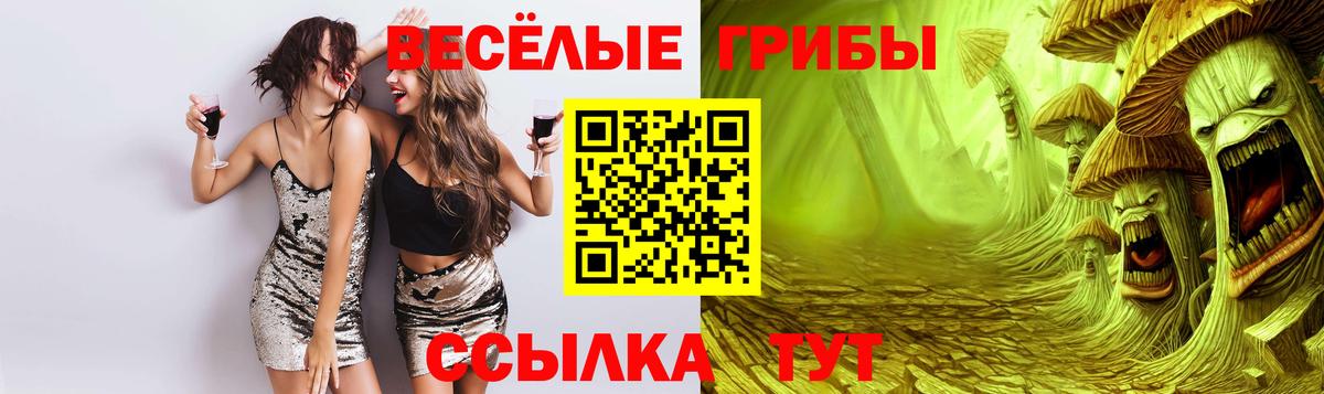 Куйбышев  Галлюциногенные грибы Cubensis  Псилоцибиновые грибы MAGIC MUSHROOMS  Вход с VPN 