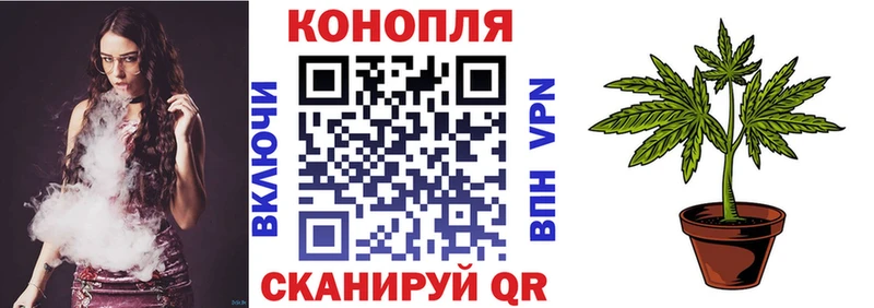даркнет сайт  Куйбышев  Каннабис тримм 