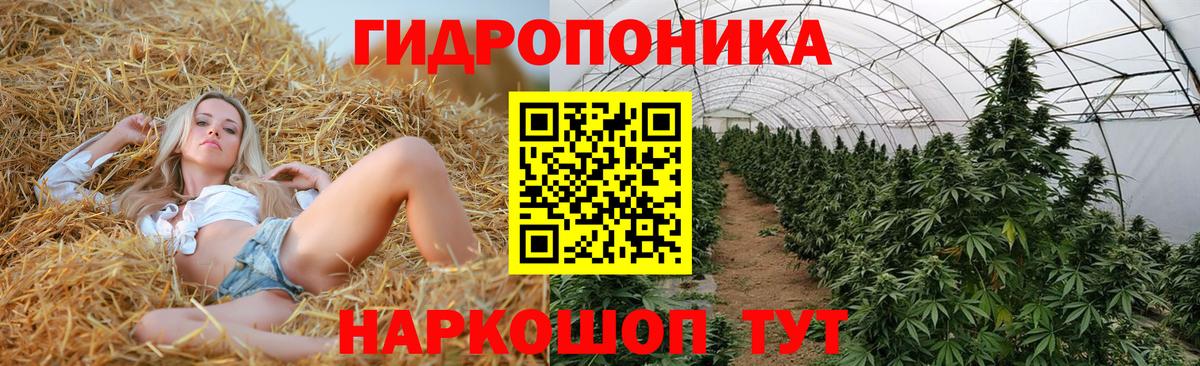 Марихуана семена  Вход с VPN  Куйбышев  Марихуана White Widow  Шишки марихуана Amnesia  Конопля тримм 